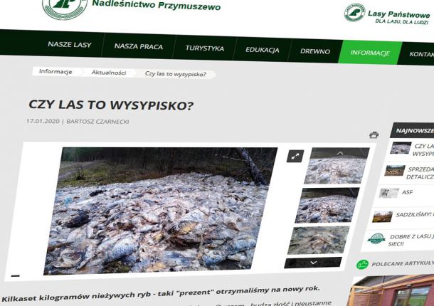 Trwają poszukiwania sprawców pozostawienia w lesie koło Chojnic 700 kilogramów odpadów rybnych